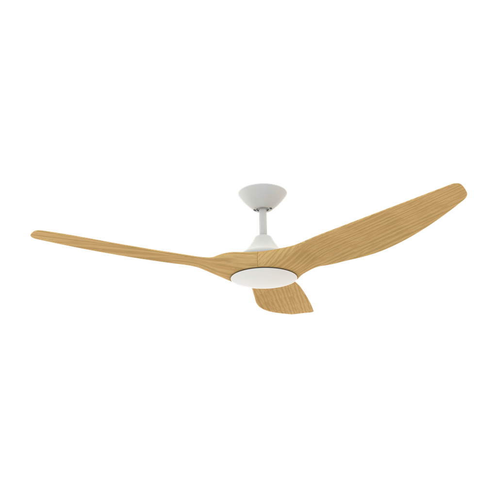 Ceiling Fans