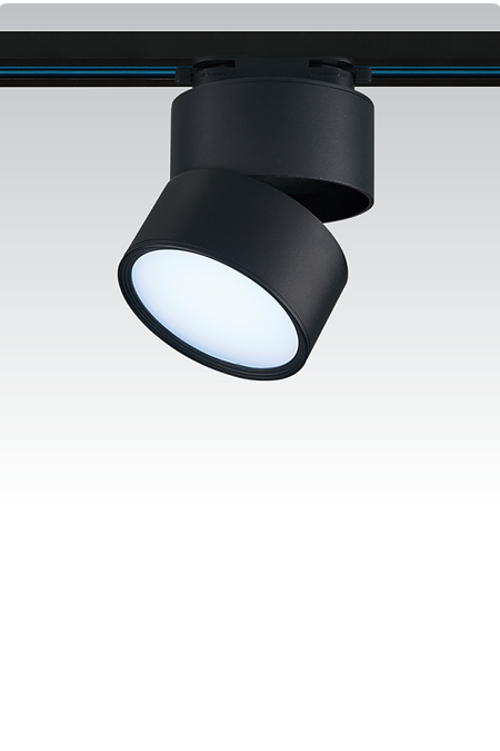 Adjustable Angle Track Spotlight