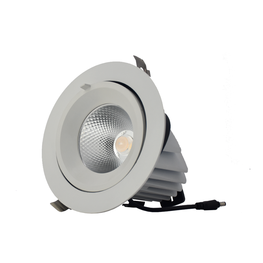 20w Led Round Adjustable Downlight