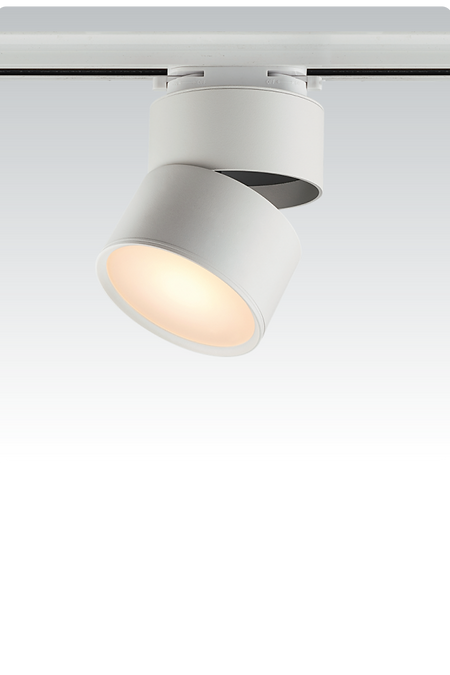 Adjustable Angle Track Spotlight