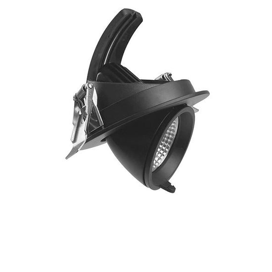 Adjustable Downlight