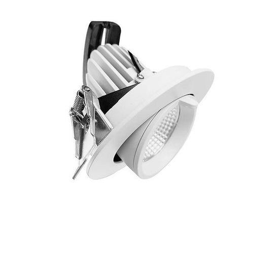 Adjustable Downlight