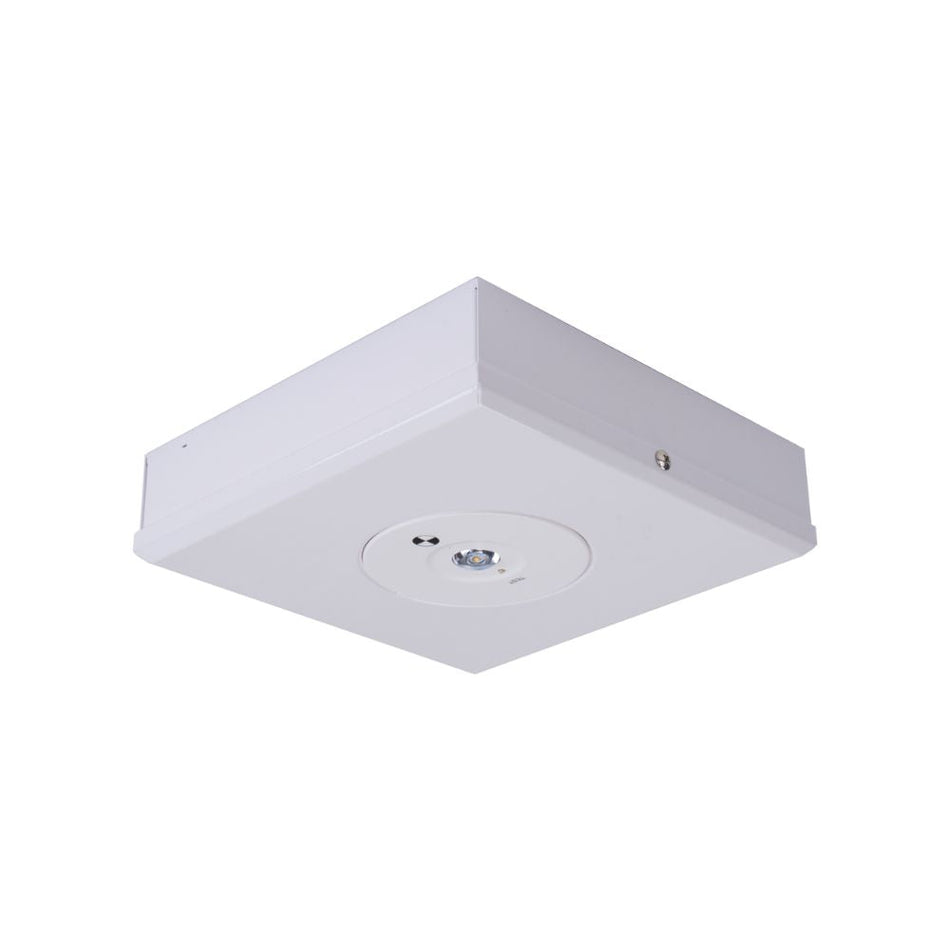 EVAC-D63-SM - 3.5W LED D63 Non-Maintained Surface Mounted Emergency Light - White