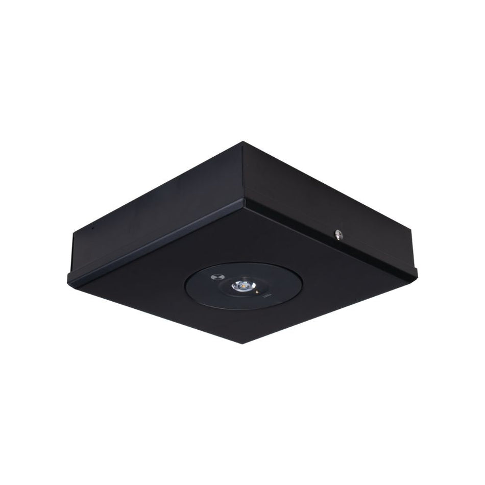 EVAC-D63-SM - 3.5W LED D63 Non-Maintained Surface Mounted Emergency Light - Black