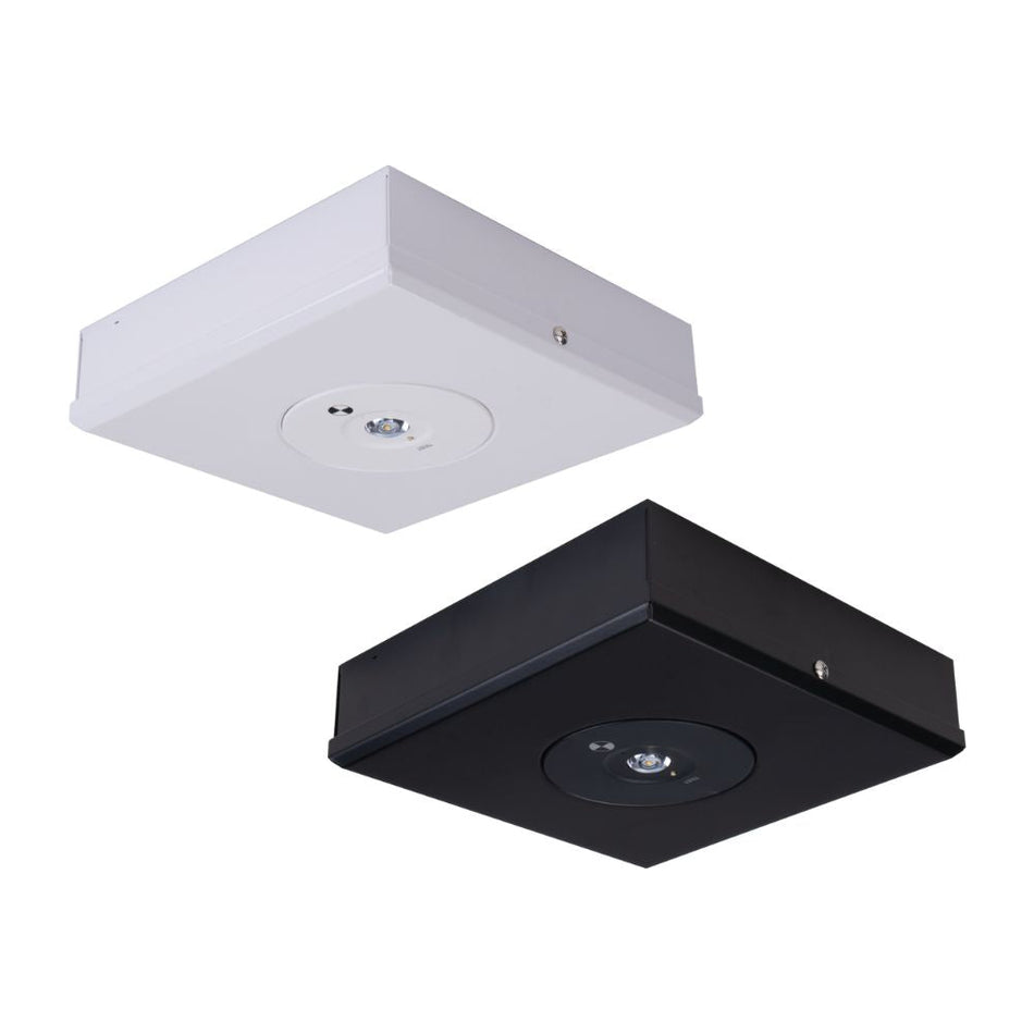 EVAC-D63-SM - 3.5W LED D63 Non-Maintained Surface Mounted Emergency Light - Black
