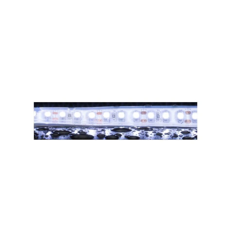 STRIP-120-WP-5M - 10W LED High Output 120LED P/M Weatherproof Striplight IP66 12V 6500K 5M Roll Pack - DRIVER REQUIRED