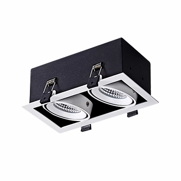 2X10W SQ Adjudtable Downlight LUX-DD1810M-C20W