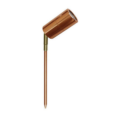 Garden Spike Light MR16