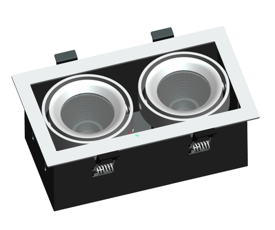 2X10W SQ Adjudtable Downlight LUX-DD1810M-C20W