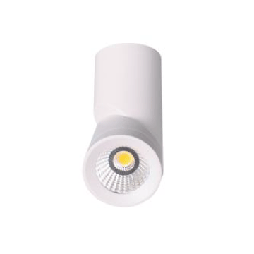 12w Sm Adjustable Can Light Dl2034